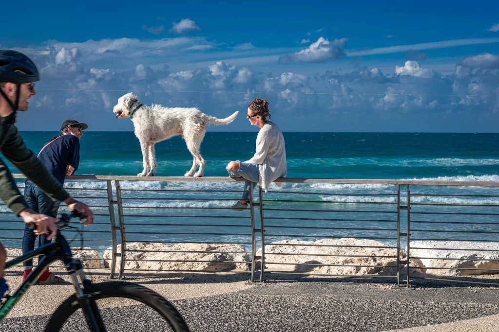 טיילת תל אביב